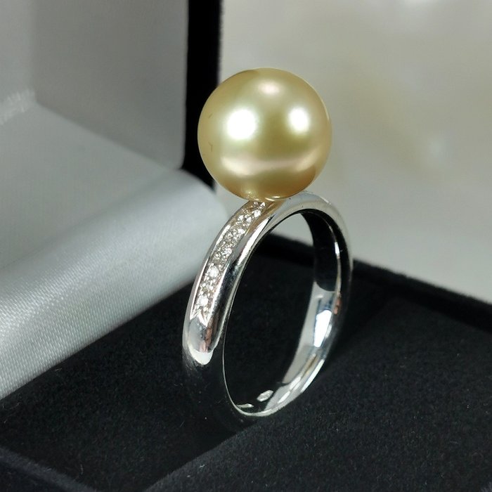 Golden Australian Southsea pearl RD Ø 10,6 mm Ring - Hvidguld Perle - Diamant 