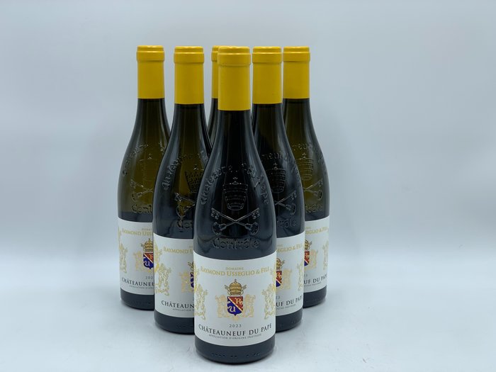 2023 Usséglio Châteauneuf-Du-Pape - 罗讷河 - 6 Bottles (0.75L)