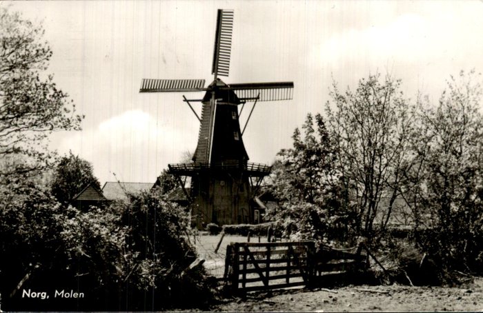 Alankomaat - Norge - Postikortti (65) - 1900-1960