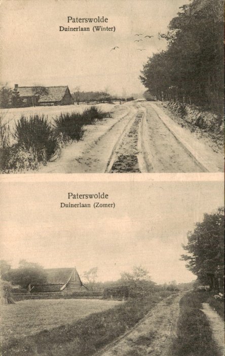 Holandia - Paterswolde - Pocztówka (78) - 1900-1960