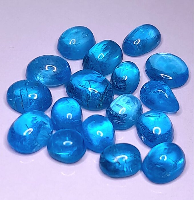 16 pcs Bleu, Vert Apatite - 12.40 ct