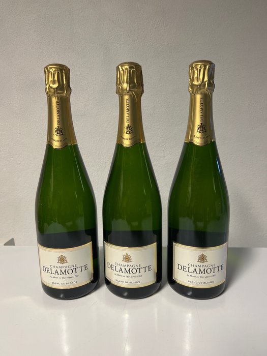 Delamotte - 香槟地 Blanc de Blancs - 3 Bottles (0.75L)