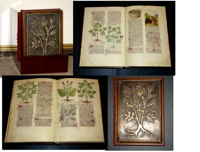 Kräuterbuch Luxusausgabe - Heilpflanzen mit Bronzeplatte - 1450-2019
