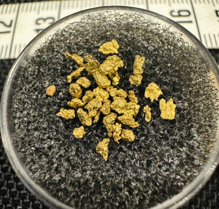 Oro Pepitas- 0.5 g