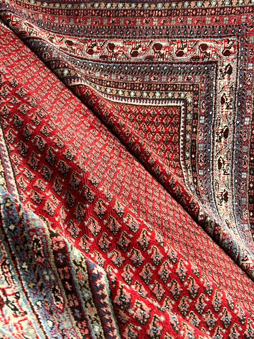 萨鲁克·米尔 - 小地毯 - 330 cm - 230 cm