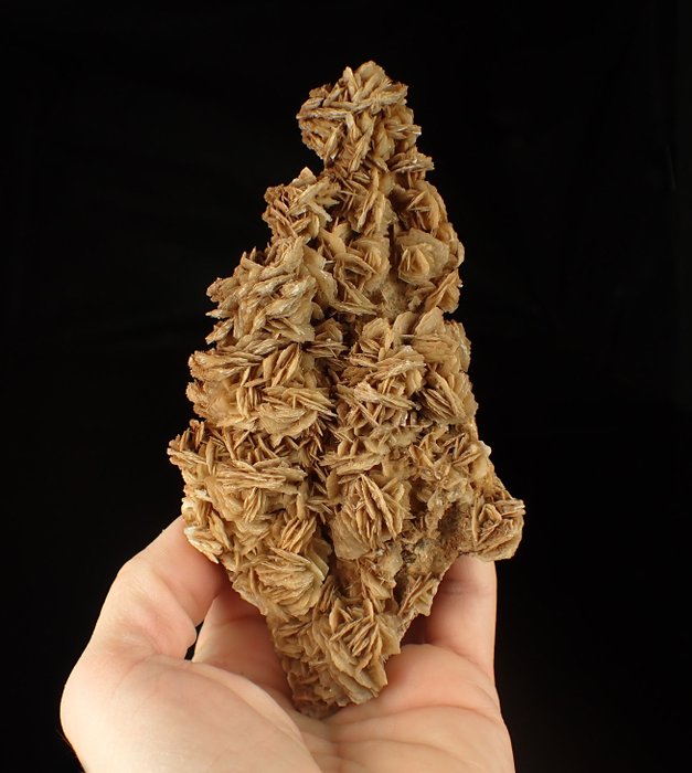 Amazing Quality Baryte Roses Crystals on matrix - Height: 155 mm - Width: 80 mm- 254 g