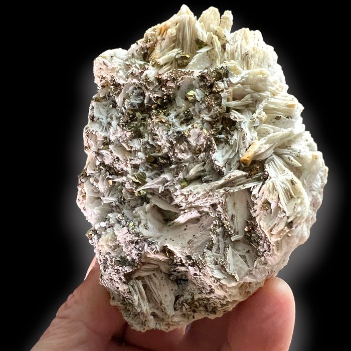 重晶石和黃銅礦 水晶群 - 高度: 11 cm - 闊度: 8 cm- 440 g