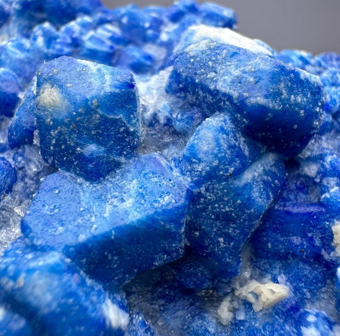 宝蓝色天青石晶体簇 水晶群 - 高度: 43 mm - 宽度: 87 mm- 276 g - (1)