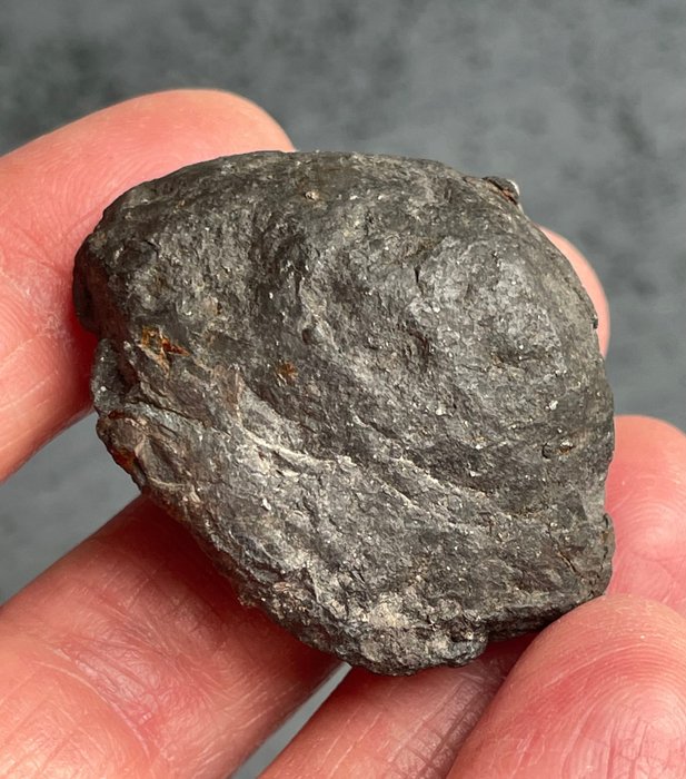 Chelyabinsk meteorite 球粒状陨石 - 高度: 41 mm - 宽度: 31 mm - 43.5 g - (1)