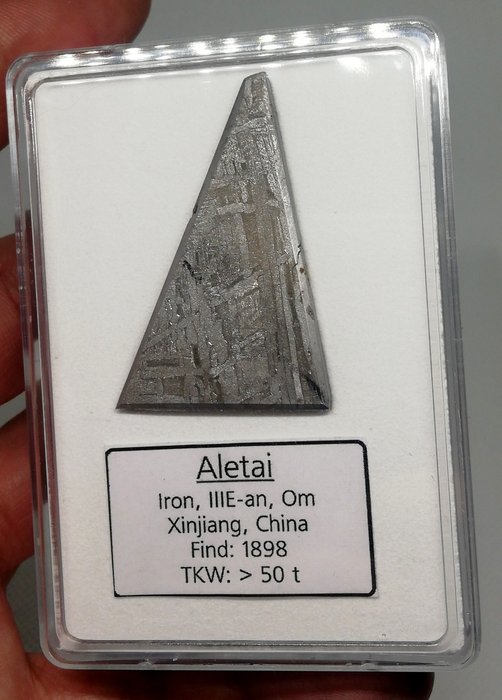 Aletai meteorite 鐵隕石 - 19.7 g