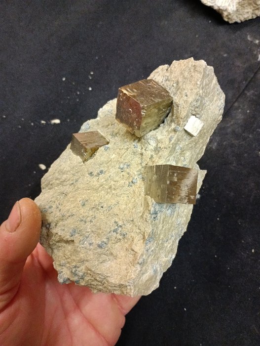 Σιδηροπυρίτης Συλλογή ορυκτών - Ύψος: 7 cm - Πλάτος: 13 cm- 780 g - (1)