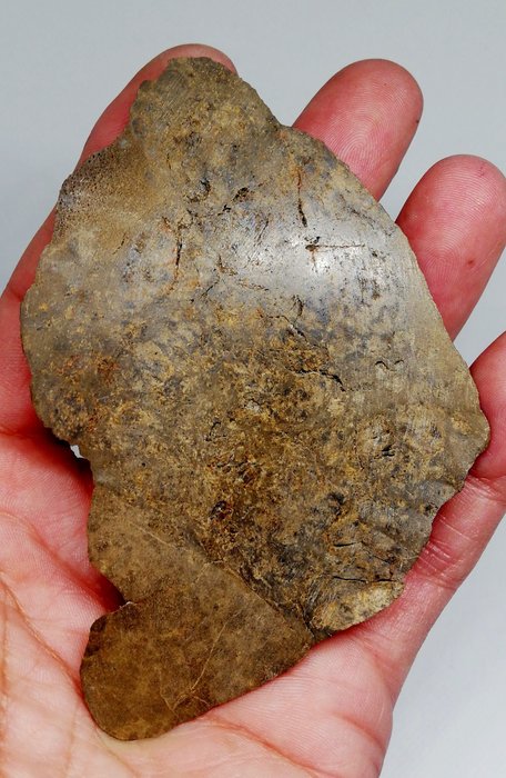JIKHARRA 001. Eukrit VETSA. sichtbare Bläschen „Kein Mindestpreis“ Achondrit Meteorit - Höhe: 10 cm - Breite: 7.5 cm - 99.1 g