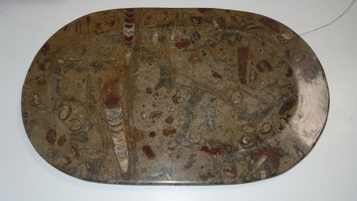 Tarjotin - (45cm) - Mineraalikivi (fossiileilla)
