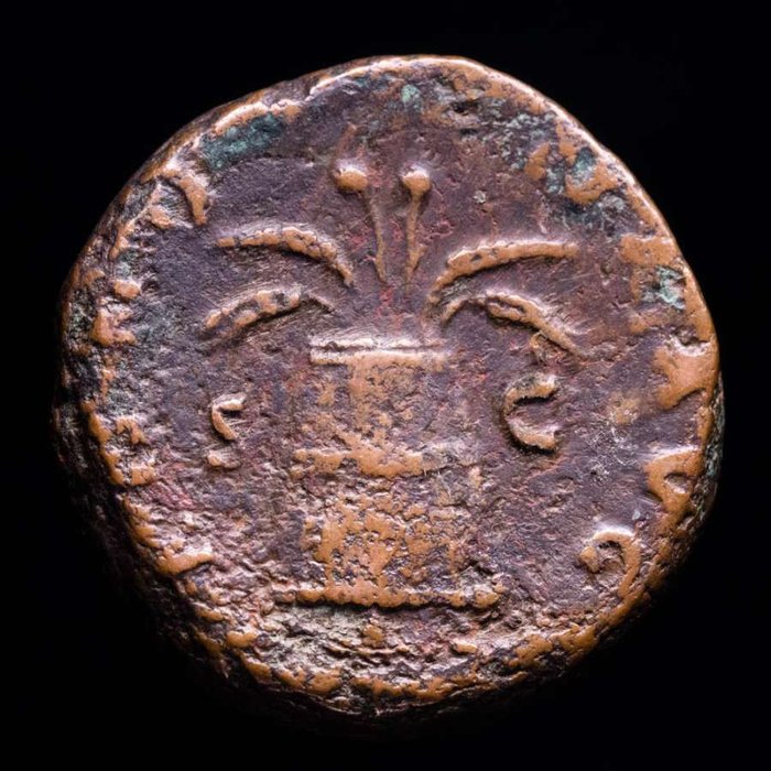 罗马帝国. 哈德良 （公元117-138）. As or dupondius? Rome mint 134-138. ANNONA AVG Modius with grain ears and poppy.  (没有保留价)