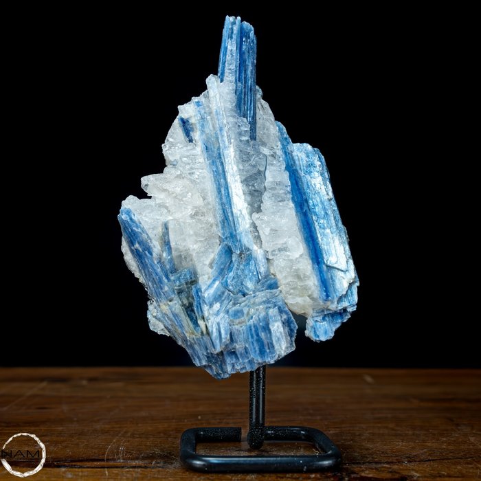 天然 AAA+++ 蓝晶石晶簇 站在立场上- 559.78 g
