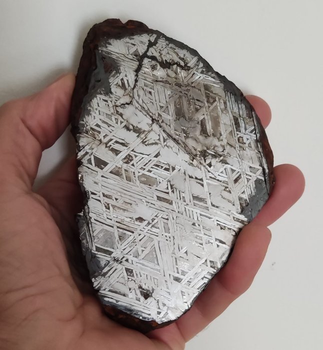 阿勒泰隕石 - 鐵 IIIE-an - 1347gr - 高度: 136 mm - 闊度: 85 mm - 1347 g