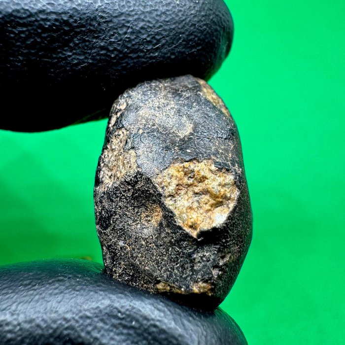 Stück nicht klassifiziertes OC, wahrscheinlich L7 NWA xxx Chondrit Meteorit - 10.9 g - (1)