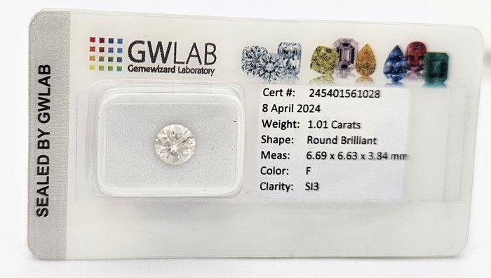 1 pcs 鑽石  (天然)  - 1.01 ct - 圓形 - F(近乎無色) - SI3 - Gemewizard Gemological Laboratory (GWLab)