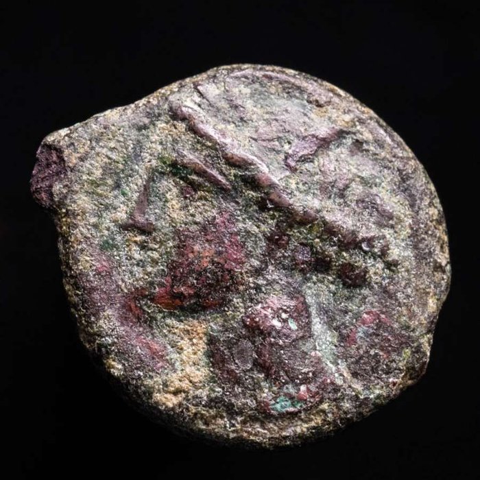 西西里，Hispani. Calco Carthaginians (Sicily), 300-264 B.C. Horse head  (沒有保留價)