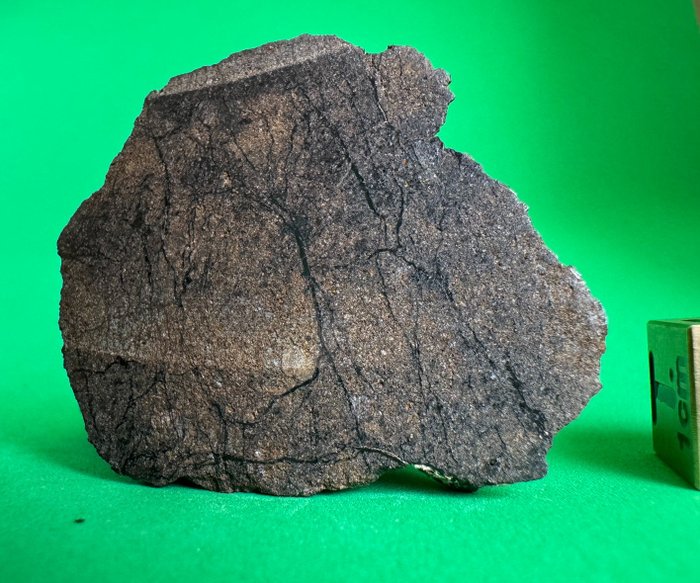 Eindsnede van Al Haggonia 001 Enstatiet-meteoriet EL3-6 Chondrite meteoriet - 13.02 g - (1)