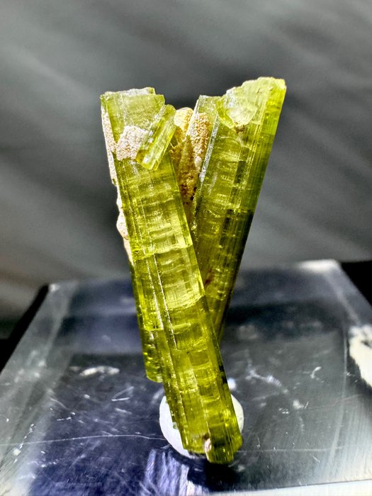 Cristal de turmalina verde biterminado extremadamente brillante Colección privada - Altura: 2.8 cm - Ancho: 1.1 cm- 5 g - (1)