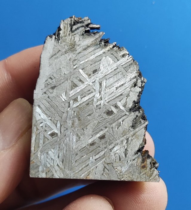 ALETAI Meteorit - Eisen IIIE-an - 134gr - Höhe: 46 mm - Breite: 36 mm - 134 g