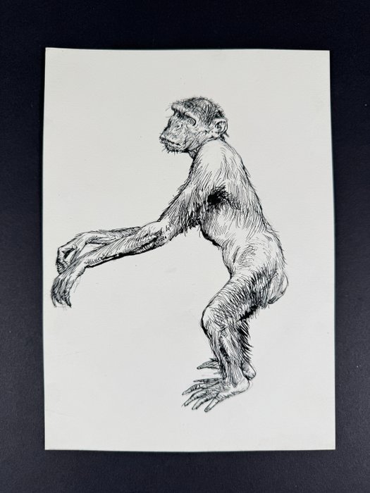 Buzzelli, Guido - 1 Original drawing - Frigidaire - Scimmione 2 - 1985