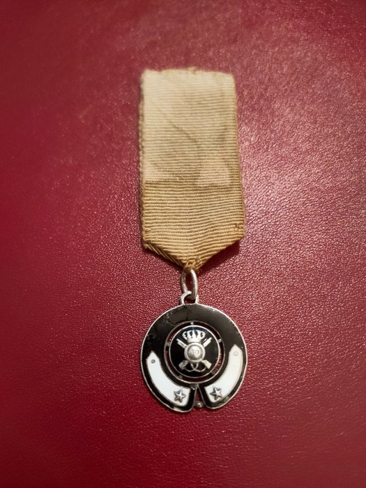 Ιταλία - Army/Infantry - Μετάλλιο - Medaglia Baverino Argento 10° Rgt. Fanteria - 1917