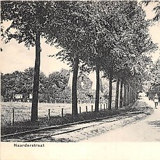 Nederland – Fraaie verzameling Nederland, dorpen en steden met fraaie straatgezichten en fotokaarten – Ansichtkaart (103) – 1900-1960