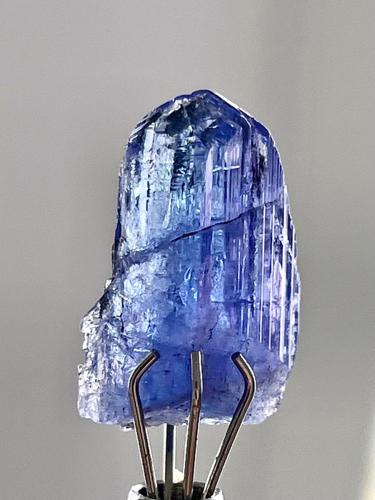 Tansanit Kristall - Höhe: 15 mm - Breite: 10 mm- 1.43 g - (1)