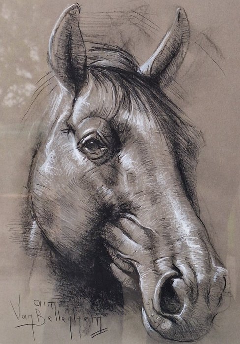 Aime Vanbelleghem (1922-1996) - Horse