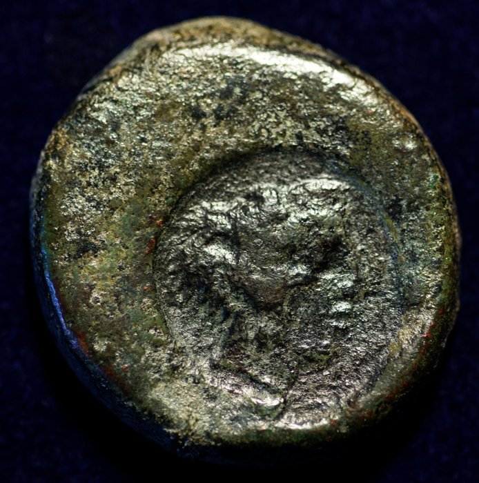 Sicilia. Lot von 3 bronzenmünzen (Akragas/Panormus)  (Ingen reservasjonspris)