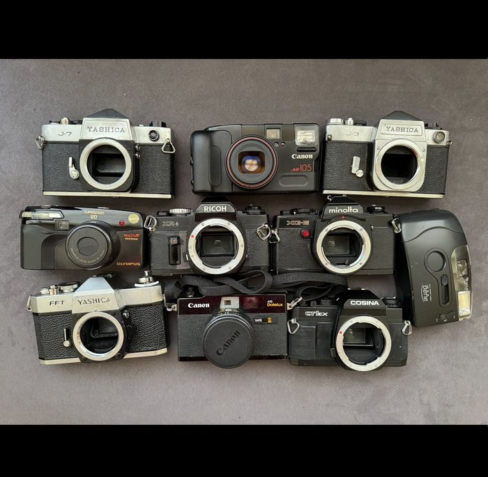Canon, Cosina, Minolta, Olympus, Ricoh, Yashica SLR e compatte 模拟相机