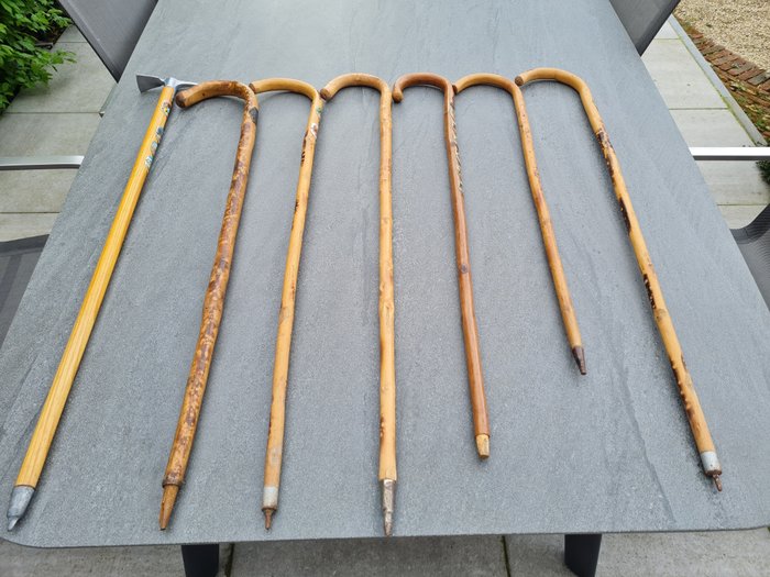手杖 - 7 拐杖 - 木