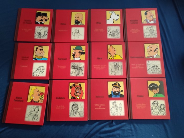 Collection personnages Tintin - 12x C - 12 Alben - Erstausgabe