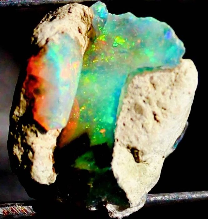 無保留價：11.45 克拉的相當乾的埃塞俄比亞蛋白石 粗糙 - 高度: 13 mm - 闊度: 16 mm- 2.29 g - (1)