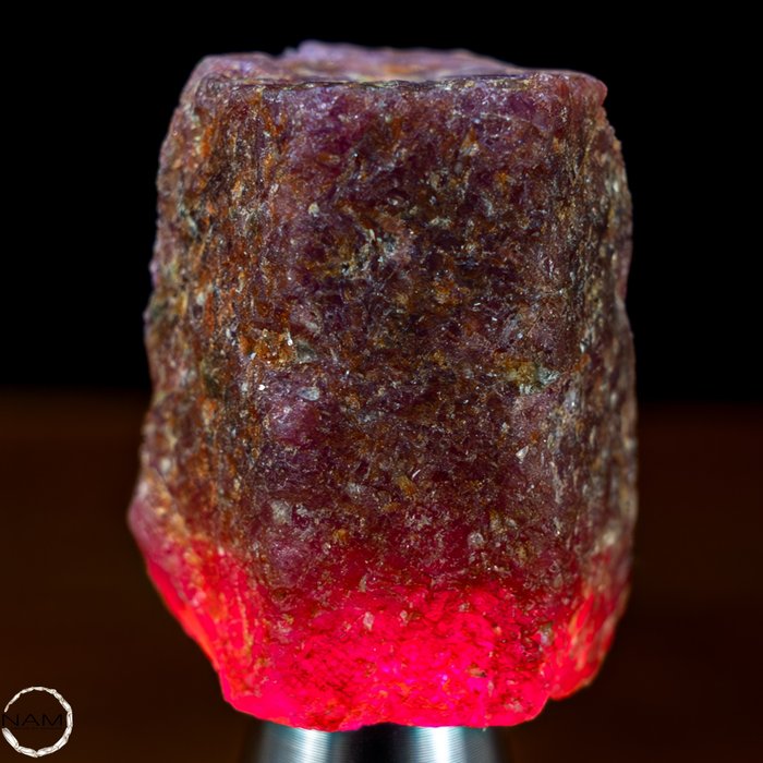 未经处理的天然红宝石晶体，缅甸 125.35 克拉- 25.07 g