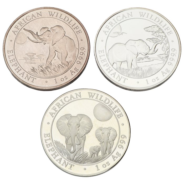 Somalia. 100 Shillings 2014/2019 ''Elephant'', 3x1 Oz (.999)  (Ei pohjahintaa)