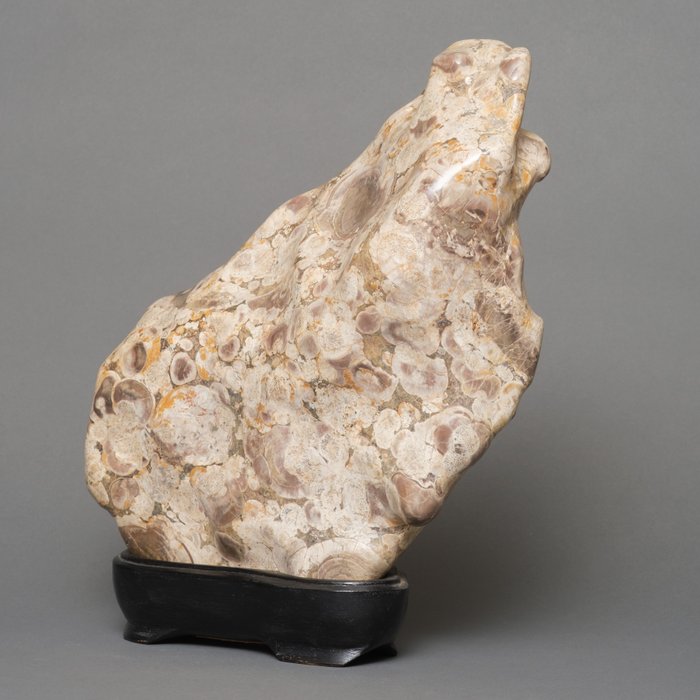 Madera, Piedra, Fósil - Suiseki 水石 (piedra del erudito) - Periodo Shōwa (1926-1989)