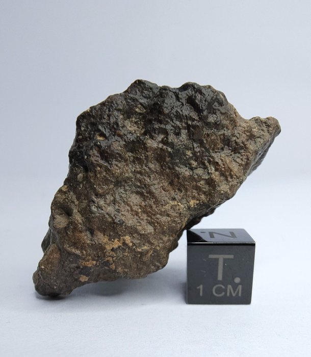 Meteoriet Howardiet HED, Bechar 008. Reserveer geen prijs. - 26.44 g - (1)