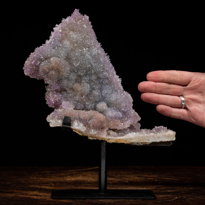 紫水晶花 - 稀有礦物 - 巴西 Druzy - 高度: 236 mm - 闊度: 217 mm- 1547 g