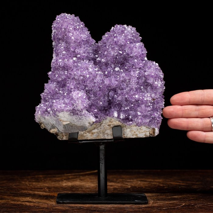 高品質紫水晶 Druzy - 深紫色 - 非凡水晶 - 高度: 176 mm - 闊度: 129 mm- 1774 g