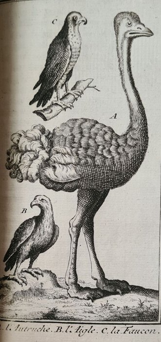 Antoine Pluche - Le spectacle de la nature ou entretiens sur les particularites de histoire naturelle - 1748