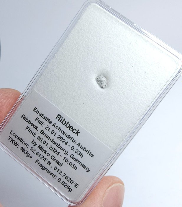 裡貝克隕石，2024 年德國秋季新品。 奧布里特，不保留價格。 - 0.03 g