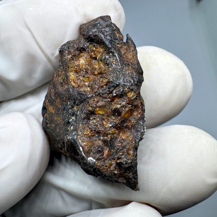 Stück Pallasit Unklassifizierter sichtbarer Olivin Stein- Eisen- Meteorit - 10.05 g - (1)