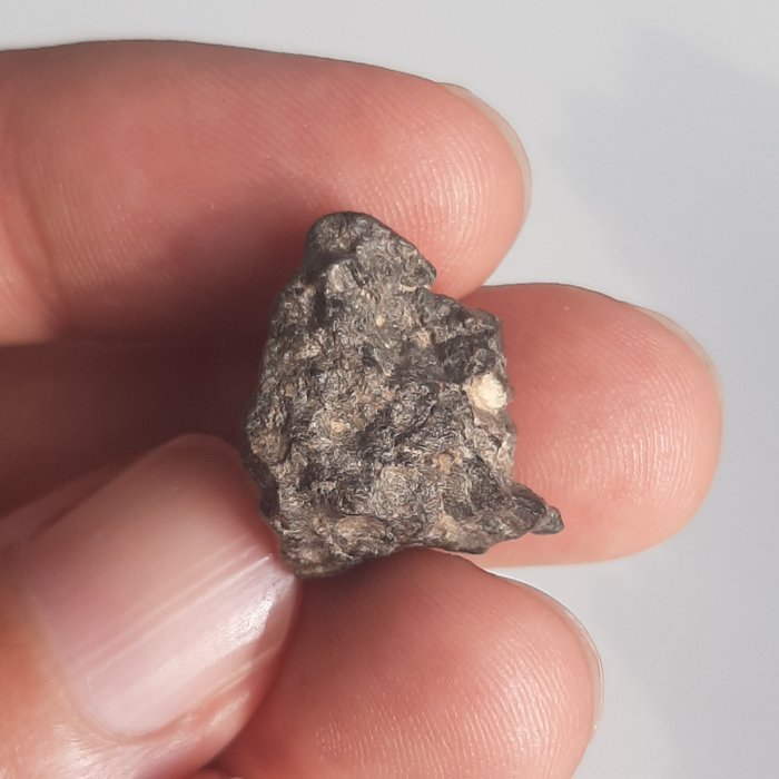 Månens meteorit. Bechar 006. Rock från månen. Enskild - 3.52 g