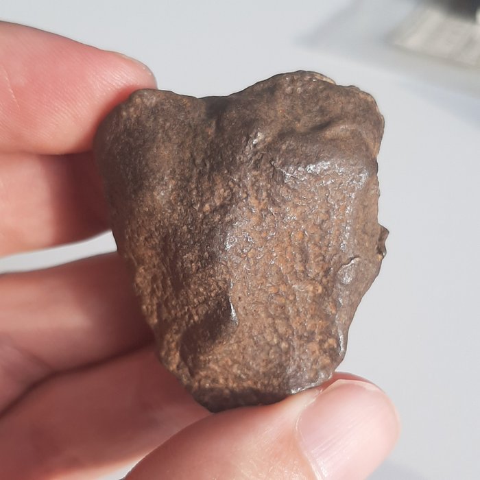 格贝尔·卡米尔.有陨石坑的陨石。蜥蜴皮纹理 - 84.3 g