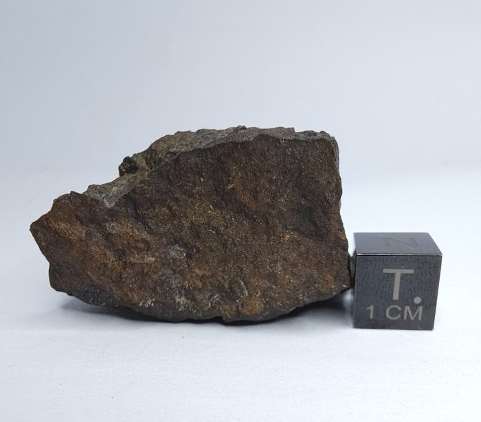 Karbonholdig meteoritt CO3, NWA 16415. Ikke reserver pris. - 47.53 g - (1)