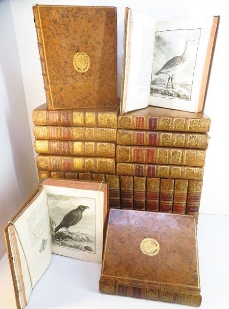 George Louis Leclerc de Buffon / Jacques de Sève - Histoire naturelle : Quadrupèdes & oiseaux [812 planches] - 1749-1783