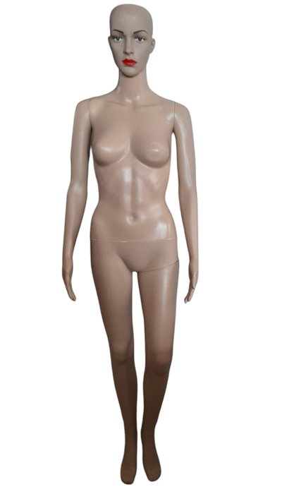人体模型 - Dames paspop vintage -  女士模特 - 塑料